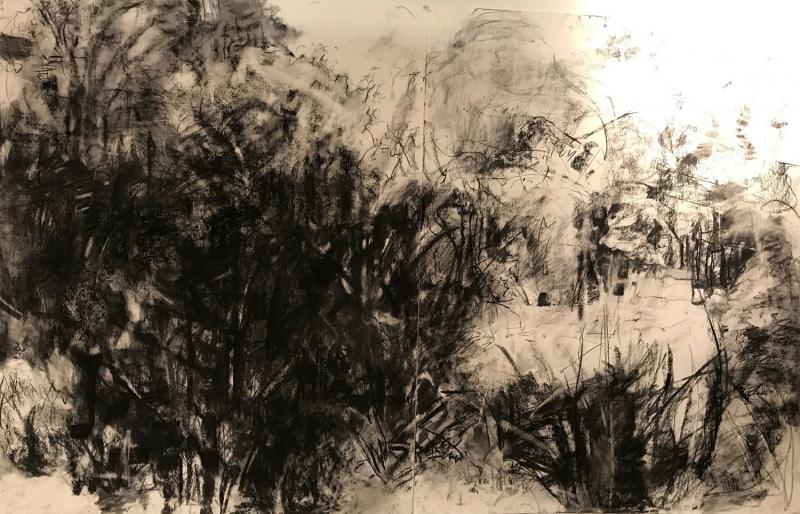 Diptych of Backyard